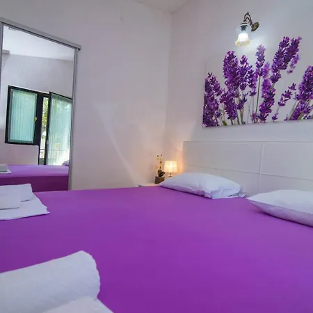 Sofia 3*
